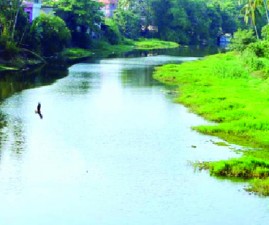 ALP-KUDIVELLAM