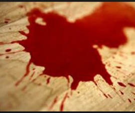 KLM-BLOODCRIME