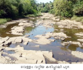 PKD-CHUDU