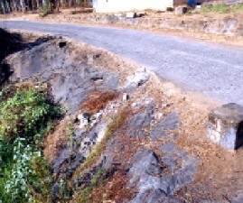 PKD-ROAD