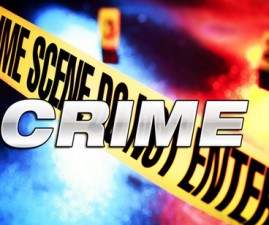 alp-crime
