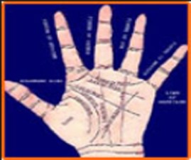 ALP-HAND