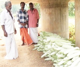 KTM-KRISHI