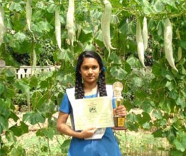 TCR-AWARD