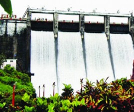 TCR-DAM