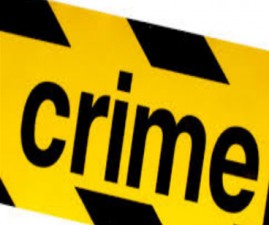alp-crime