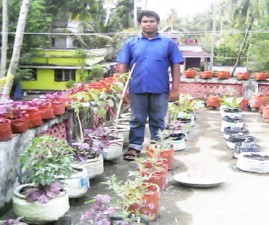 alp-krishi