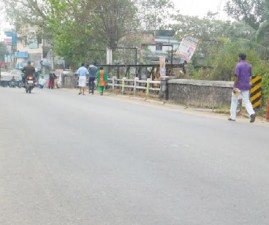 alp-palam