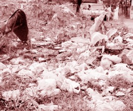 alp-waste