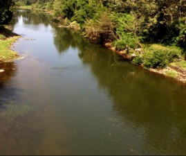 alp-water