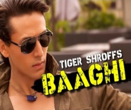 baagi