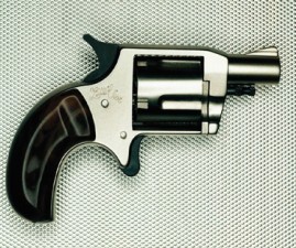 gun