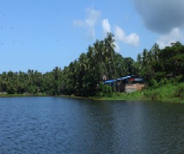 kkd-chira