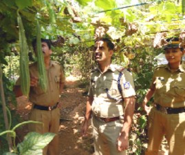knr-krishipolice