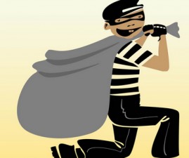 knr-thief