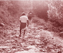 knr-yathra
