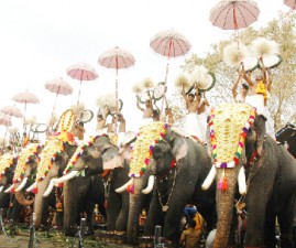 ktm-pooram