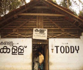 ktm-toddy