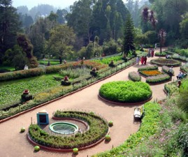 ooty