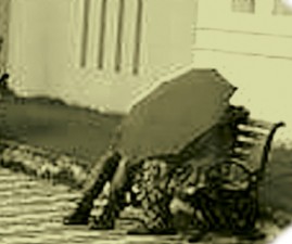 parambara