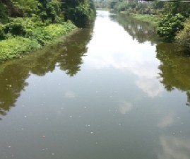pkd-dam