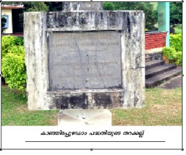 pkd-damkanjirappuzha