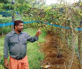 prasanth