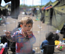 refugee