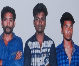tvm-arrest