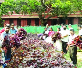 tvm-cheera