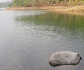 tvm-dam
