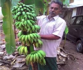 tvm-kula