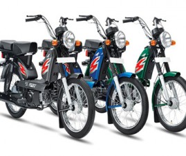 tvs