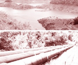 ALP-DAM