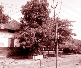 EKM-SCHOOL