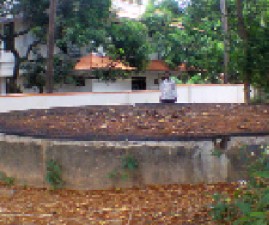 PKD-KINAR