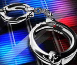 alp-arrest