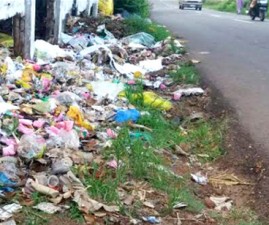 alp-waste