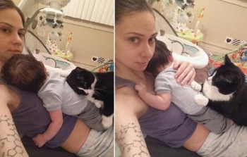 cat1