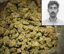 kanja