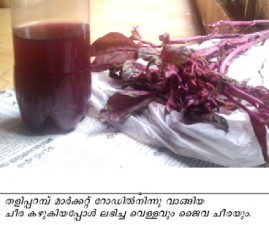 knr-cheera