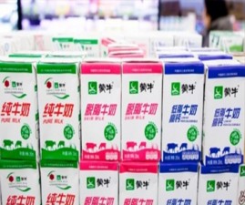 milk