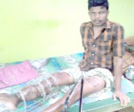 pkd-adivasi