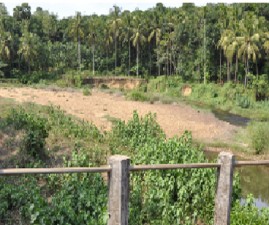 pkd-mannarkadu