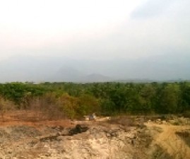 pkd-paramada