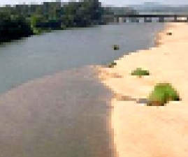 pkd-puzha
