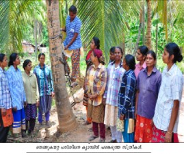 pkd-thengu