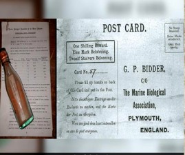 post-card