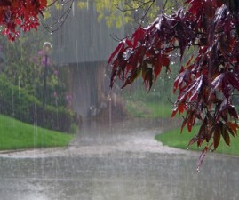 rain