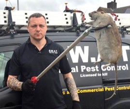 rat